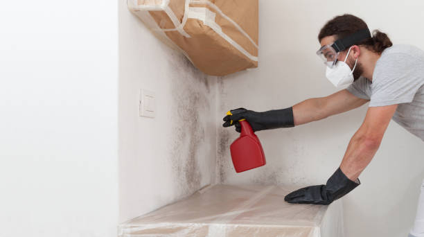 Professional Hvac And Air Duct Mold Remediation technician working in Bedford, MA